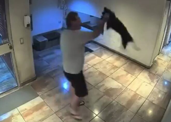 Video: salió con un perro al hall del edificio en Palermo y lo revoleó contra el piso Video: salió con un perro al hall del edificio en Palermo y lo revoleó contra el piso