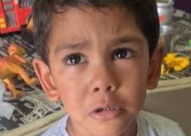 Piden la detención de la madre de Ángel, el niño de 4 años que encontraron muerto en Comodoro Rivadavia Piden la detención de la madre de Ángel, el niño de 4 años que encontraron muerto en Comodoro Rivadavia