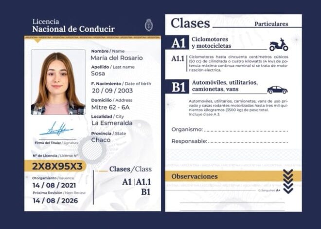 Licencia de conducir a los 17: qué provincias la habilitan y qué requisitos piden en 2026 Licencia de conducir a los 17: qué provincias la habilitan y qué requisitos piden en 2026