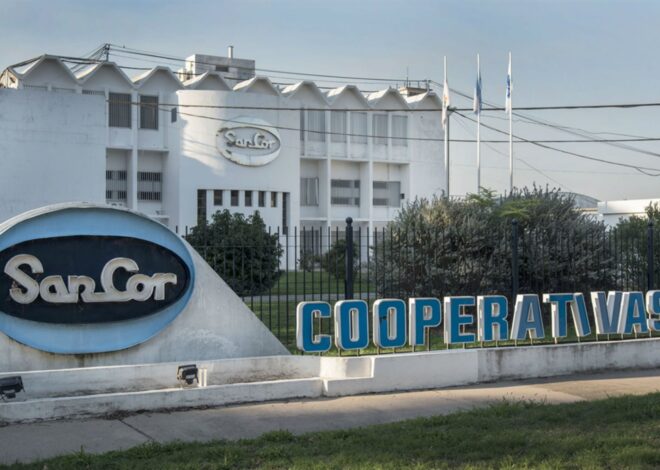 Debe US$120 millones: la láctea SanCor pidió su quiebra