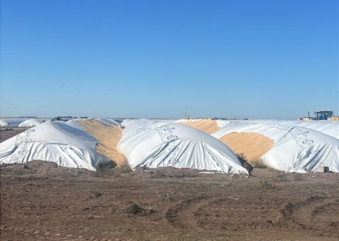 “Fue un baldazo de agua fría”: misterioso ataque a silobolsas en medio de un conflicto que preocupa al agro “Fue un baldazo de agua fría”: misterioso ataque a silobolsas en medio de un conflicto que preocupa al agro