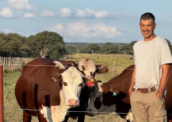 Tiene 2400 hectáreas: recibió un campo degradado y una decisión le cambió el rumbo para siempre Tiene 2400 hectáreas: recibió un campo degradado y una decisión le cambió el rumbo para siempre