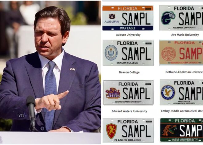 Cuándo entra en vigor la ley de placas especiales de Florida que DeSantis firmó en 2026