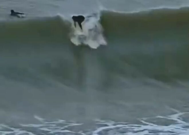 Surfistas desafiaron olas de hasta seis metros en medio del temporal Surfistas desafiaron olas de hasta seis metros en medio del temporal