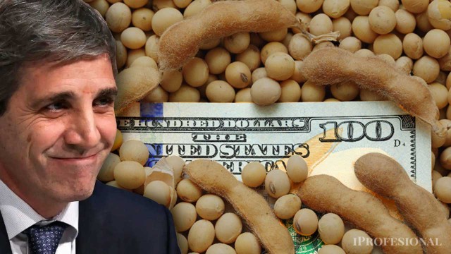 ¿Quiebre de tendencia?: el boom del campo puede revertir en mayo la caída en la caja de ARCA
