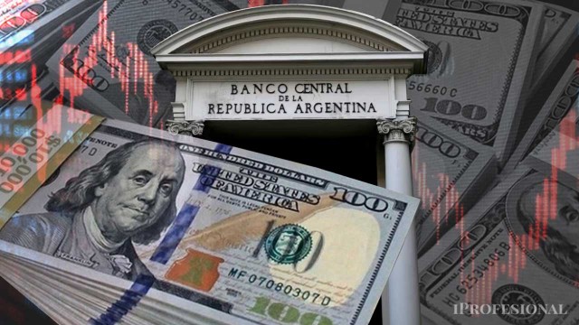 El BCRA anotó la segunda mayor compra del año y las reservas marcaron nuevo récord desde 2019