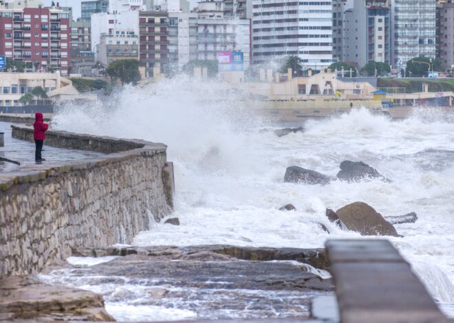 Qué pasó con los más de 170 buques extranjeros que se refugiaron en la costa argentina por el ciclón extratropical