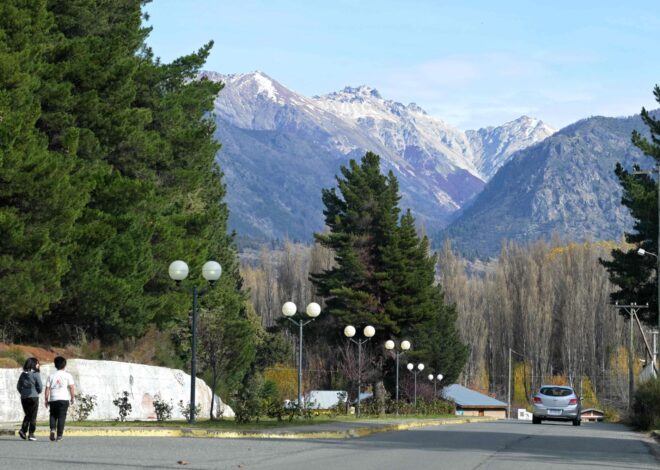 En medio de la incertidumbre, un equipo del Malbrán viajará a Ushuaia para dar con el origen del brote de hantavirus en el crucero - Clone En medio de la incertidumbre, un equipo del Malbrán viajará a Ushuaia para dar con el origen del brote de hantavirus en el crucero - Clone