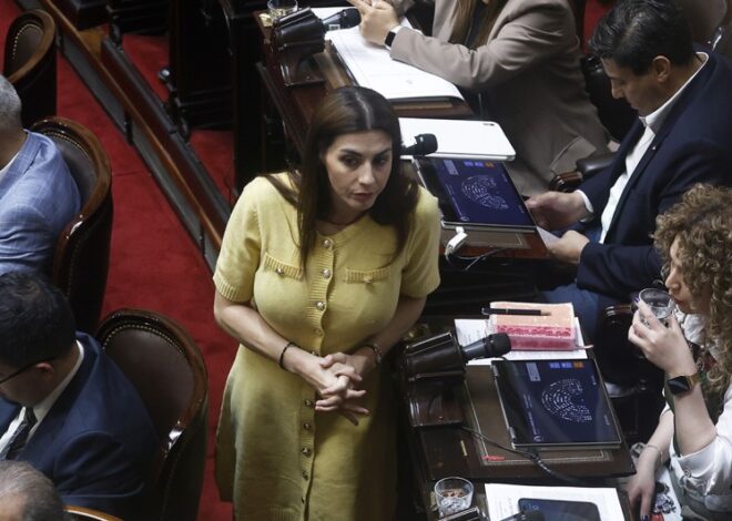 Pagano: "Adorni es el cajero de Karina y Lanari es el que llevaba los bolsos" Pagano: "Adorni es el cajero de Karina y Lanari es el que llevaba los bolsos"