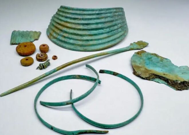 Hallazgo de la Edad de Bronce mientras construían un parque eólico: un collar de 156 piezas de ámbar y un peine de hueso Hallazgo de la Edad de Bronce mientras construían un parque eólico: un collar de 156 piezas de ámbar y un peine de hueso