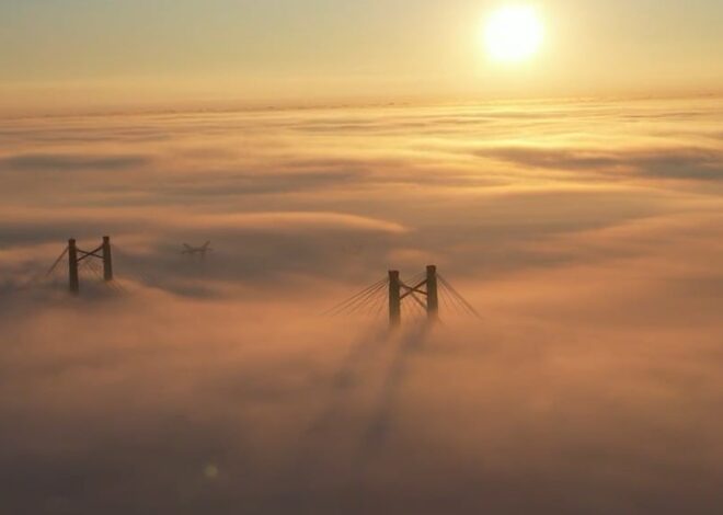 Advertencia violeta por niebla: corte en el puente Zárate-Brazo Largo y vuelos suspendidos