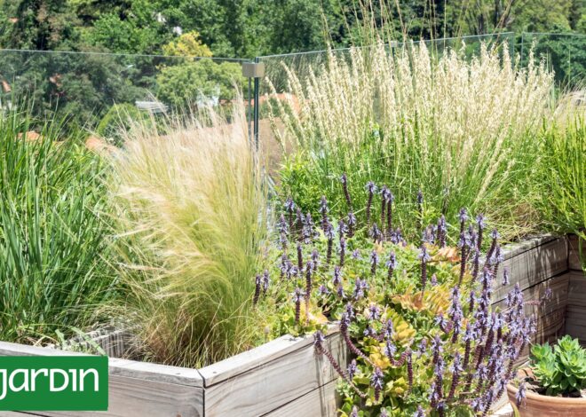 Estas plantas hacen jardines más fuertes y fáciles de mantener