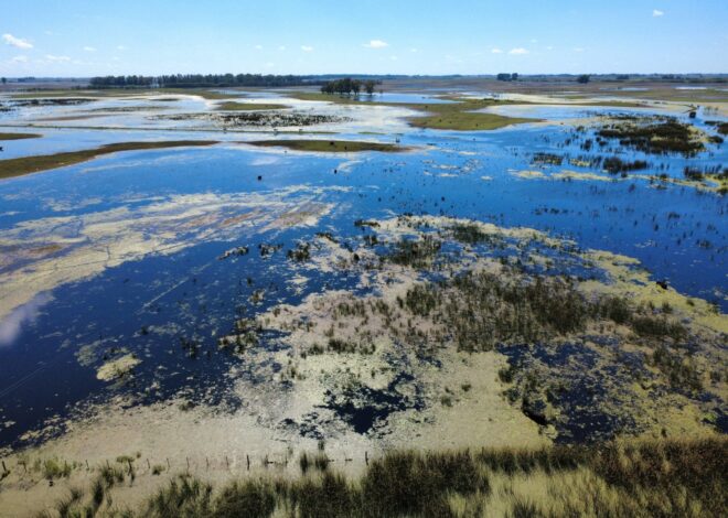 Descartan la llegada de un súper El Niño y proyectan menos heladas para el otoño Descartan la llegada de un súper El Niño y proyectan menos heladas para el otoño