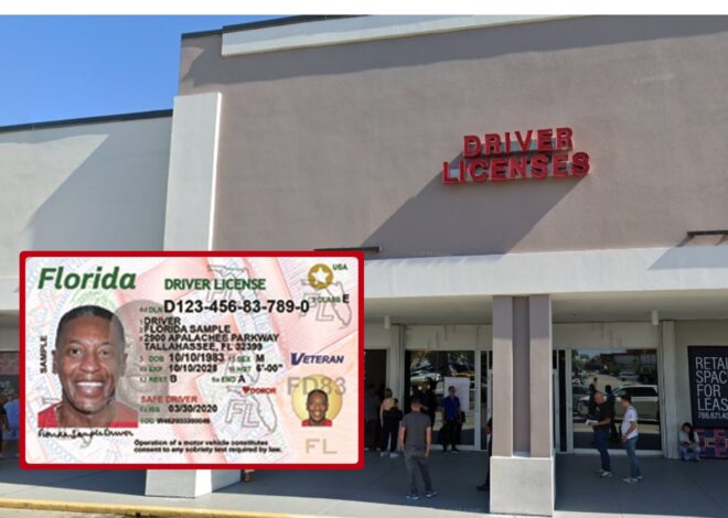 Noticias de Florida hoy, en vivo: alerta en el DMV por fallas en trámites de licencias de conducir