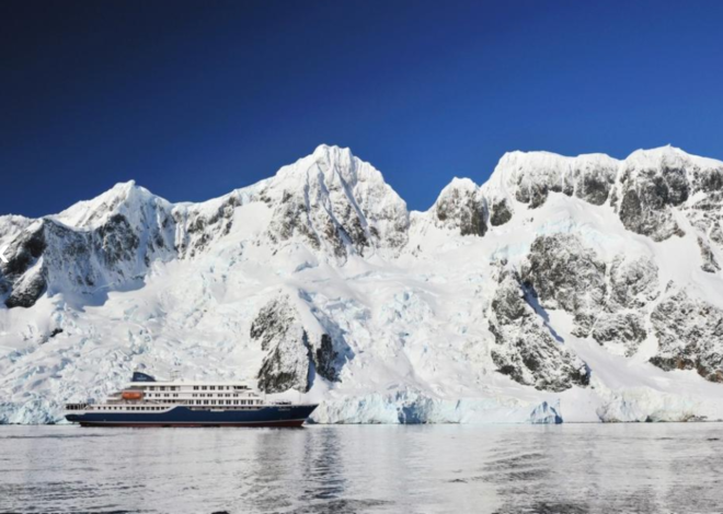 Hantavirus en el crucero: en qué consiste la cepa Andes, la única que se contagia entre humanos y que ahora preocupa a la Argentina