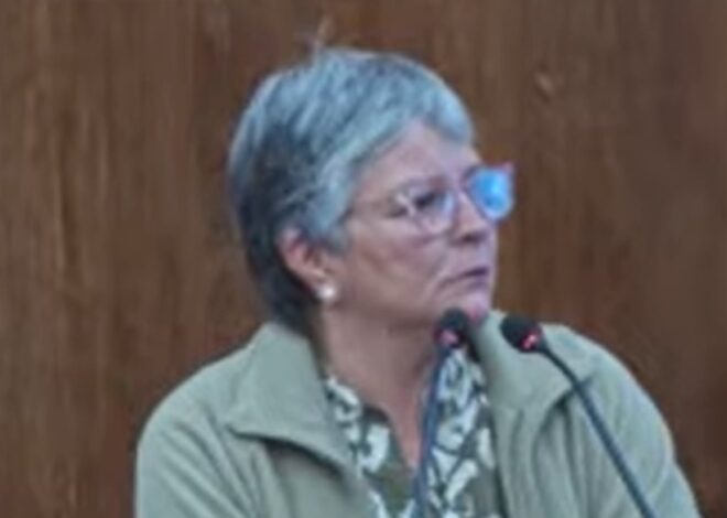 Se quebró en plena audiencia: la expareja de Centeno dijo que él la usó de testaferro y que ella hizo copias de sus anotaciones Se quebró en plena audiencia: la expareja de Centeno dijo que él la usó de testaferro y que ella hizo copias de sus anotaciones