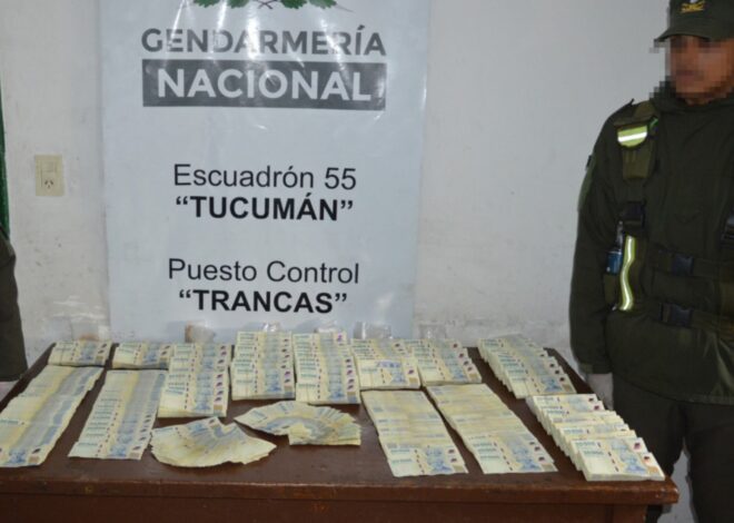 Detuvieron a un hombre que viajaba en colectivo de larga distancia con 159 millones de pesos sin declarar