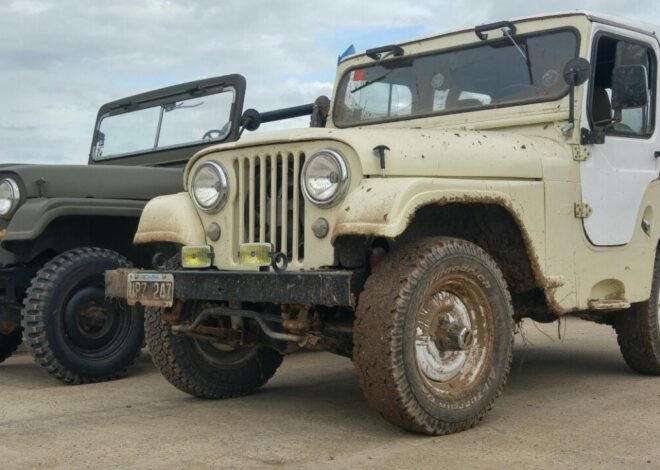 La historia del icónico auto fabricado en la Argentina del que “es difícil ver dos iguales”