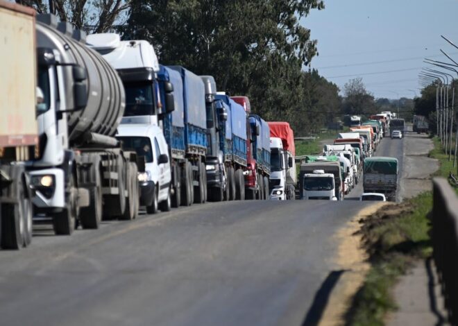 Dólares: en abril la agroexportación ingresó US$2495 millones, un 23% más que en marzo
