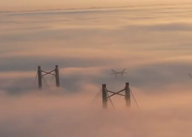 Alerta violeta por niebla: hasta cuándo seguirá la advertencia y cuáles son las zonas que más afectará el fenómeno, según el SMN Alerta violeta por niebla: hasta cuándo seguirá la advertencia y cuáles son las zonas que más afectará el fenómeno, según el SMN