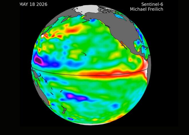 La NASA detectó una desconcertante ola de calor en el océano: sus efectos pueden ser devastadores