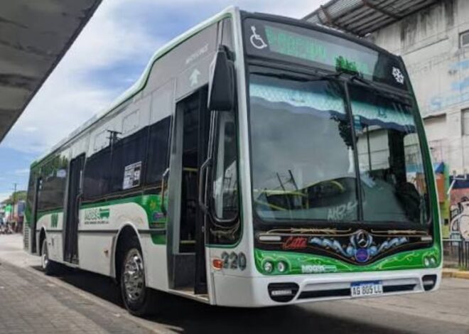 Paro de colectivos: qué líneas no funcionan este viernes 8 de mayo Paro de colectivos: qué líneas no funcionan este viernes 8 de mayo