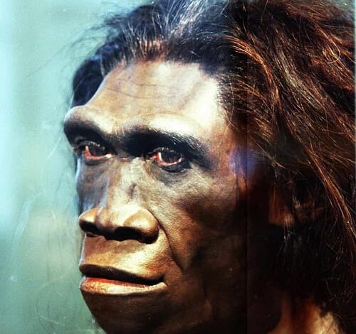 Un hallazgo en China sugiere que los Homo erectus y los denisovanos se aparearon y dejaron rastros genéticos en el hombre moderno Un hallazgo en China sugiere que los Homo erectus y los denisovanos se aparearon y dejaron rastros genéticos en el hombre moderno