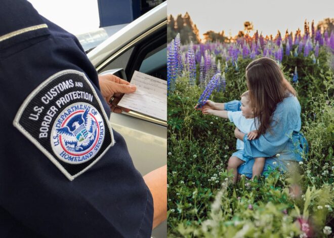 Día de la Madre 2026: la advertencia de la CBP sobre el regalo común que podría ser incautado en la frontera de EE.UU. Día de la Madre 2026: la advertencia de la CBP sobre el regalo común que podría ser incautado en la frontera de EE.UU.