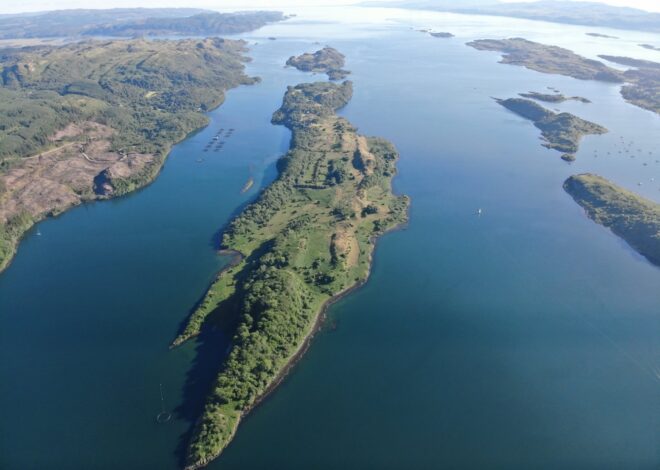 Se vende una isla entera pero el comprador tiene que hacerse cargo de las 100 ovejas y cabras que viven ahí
