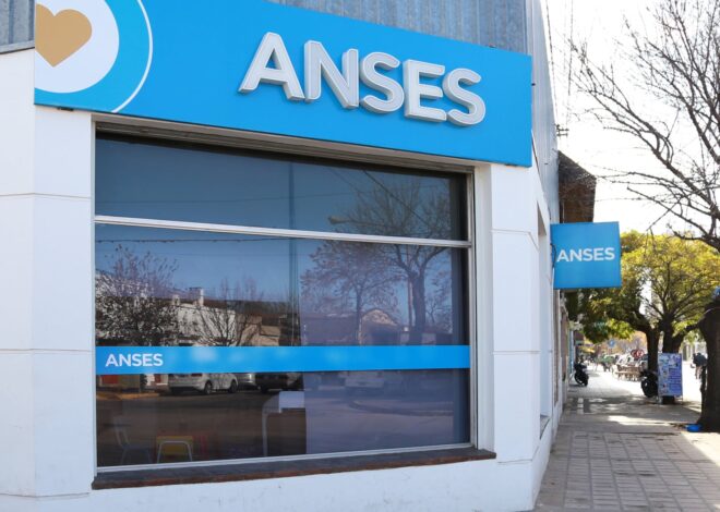 Calendario Anses: qué prestaciones sociales se cobran en la semana del 18 al 22 de mayo Calendario Anses: qué prestaciones sociales se cobran en la semana del 18 al 22 de mayo