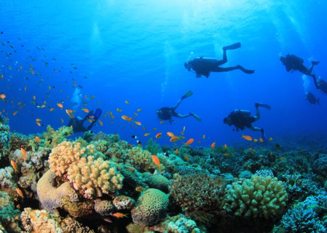 Qué pasó con los cinco italianos que murieron en Maldivas durante una excursión de buceo Qué pasó con los cinco italianos que murieron en Maldivas durante una excursión de buceo