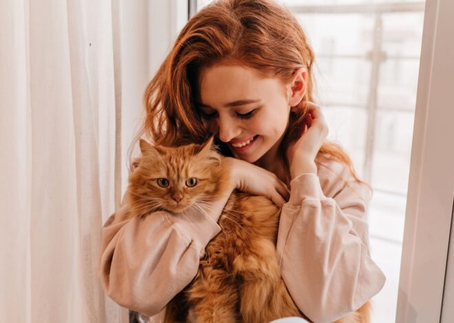 Los especialistas explican las cinco señales de que un gato eligió a su persona favorita Los especialistas explican las cinco señales de que un gato eligió a su persona favorita