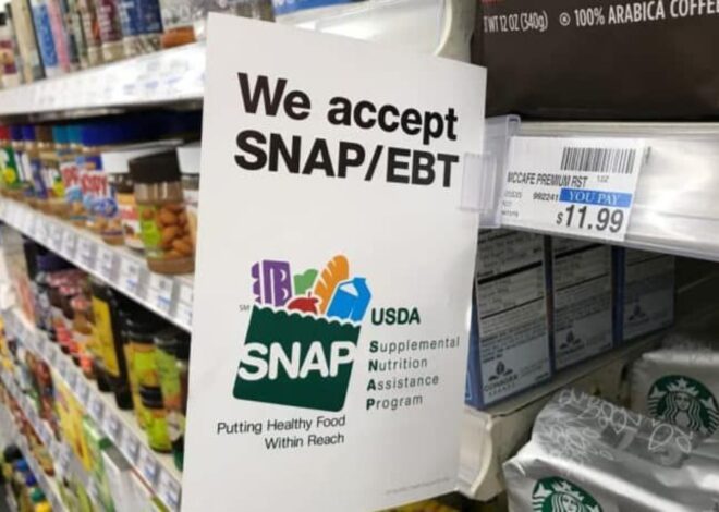 SNAP Double Bucks: el programa de alimentos que entrega el doble del crédito de la EBT en Carolina del Norte