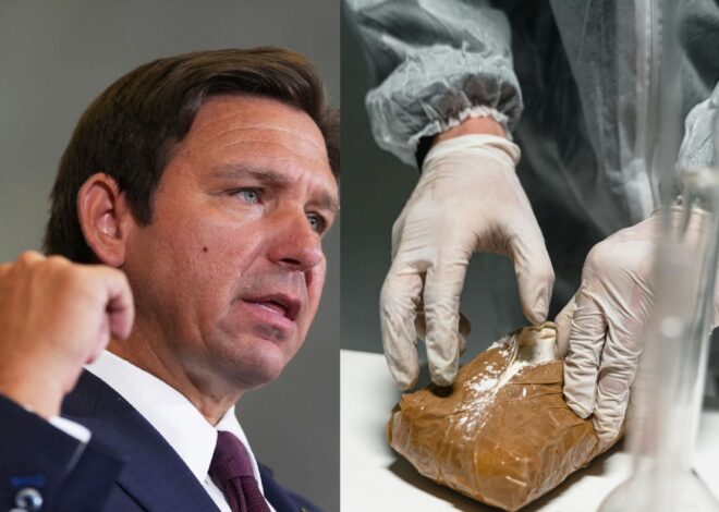 Buenas noticias en Florida: DeSantis celebró una fuerte caída de muertes por opioides y fentanilo Buenas noticias en Florida: DeSantis celebró una fuerte caída de muertes por opioides y fentanilo