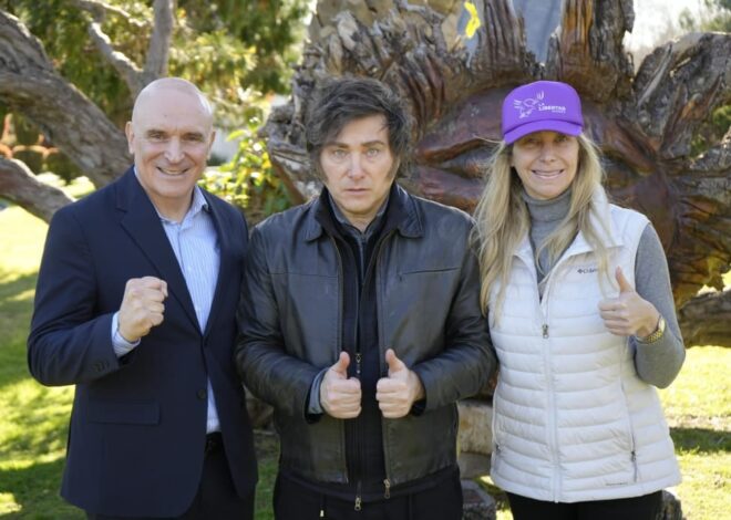 Javier Milei defendió a Espert, el diputado que renunció a su candidatura por sus vínculos con Machado Javier Milei defendió a Espert, el diputado que renunció a su candidatura por sus vínculos con Machado
