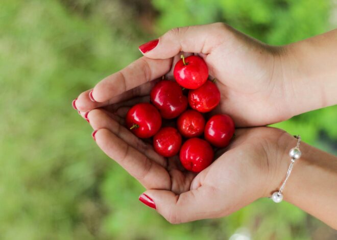 Qué efectos tiene la acerola en el cuerpo y quiénes no deberían consumirla Qué efectos tiene la acerola en el cuerpo y quiénes no deberían consumirla