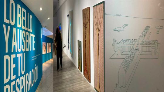 El Rojas vuelve a marcar el pulso de las artes visuales